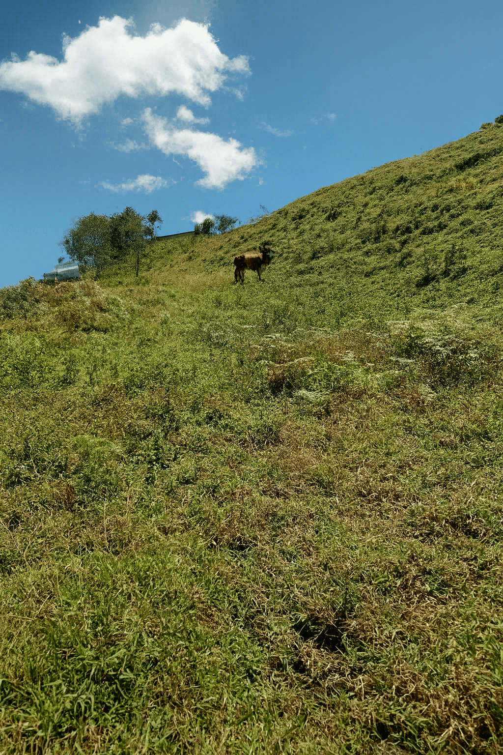 Imagen 7 de la propiedad Lote en Venta El PEÑOL