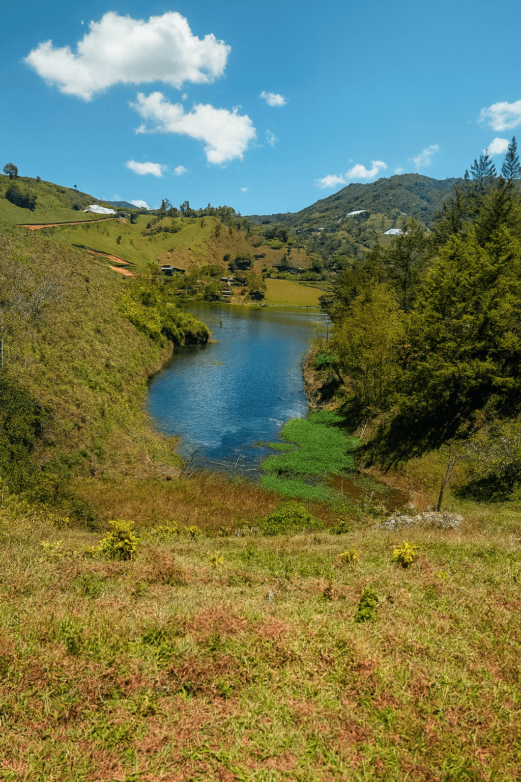 Imagen 6 de la propiedad Lote en Venta El PEÑOL