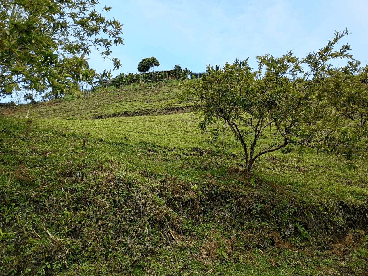 Imagen 2 de la propiedad Lote de 3.100 m² en venta Vereda La Chapa, El Peñol