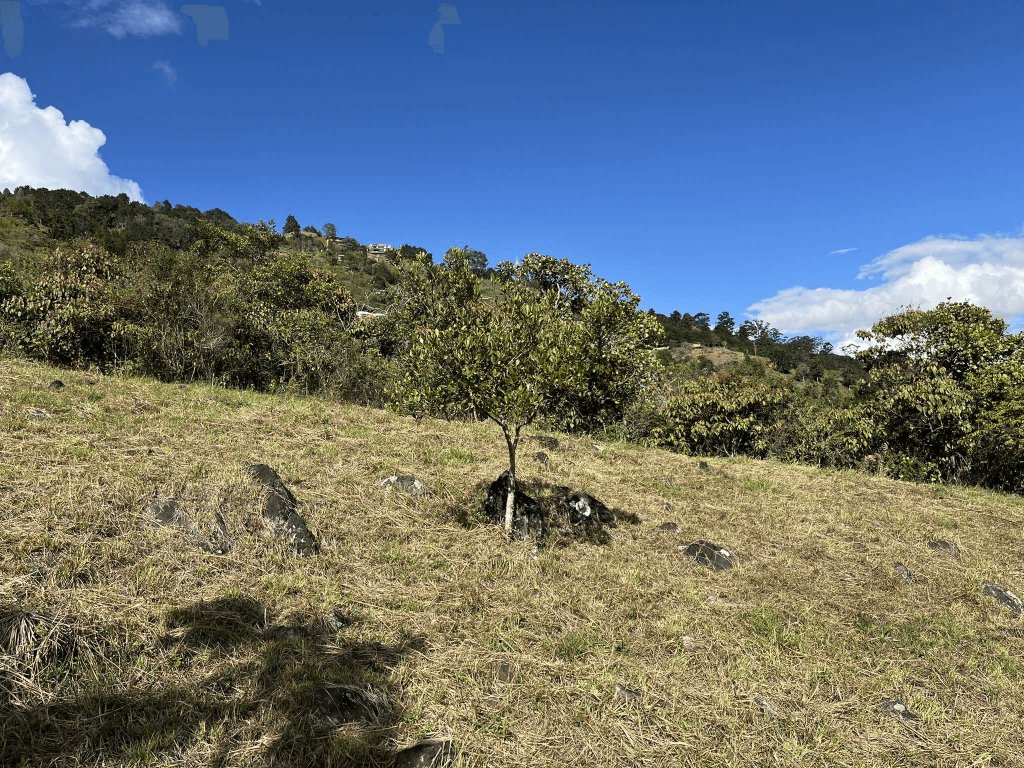 Lote 66 en venta en la vereda Santana,Copacabana