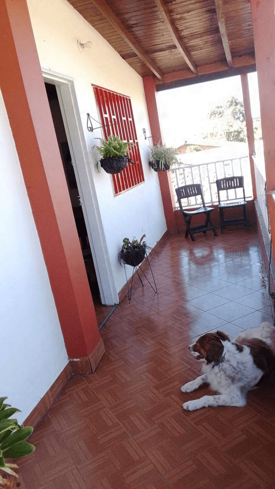Imagen 2 de la propiedad Casa Finca en venta vereda la Liborina Versalles
