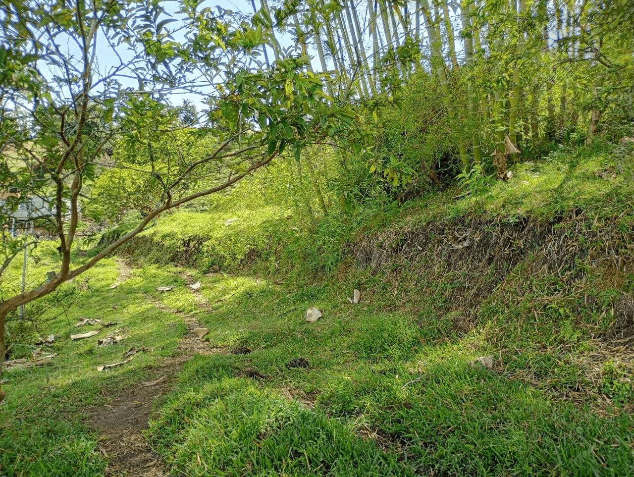 Imagen 4 de la propiedad Lote de 6.840 M2 en venta Vereda La Chapa el Peñol