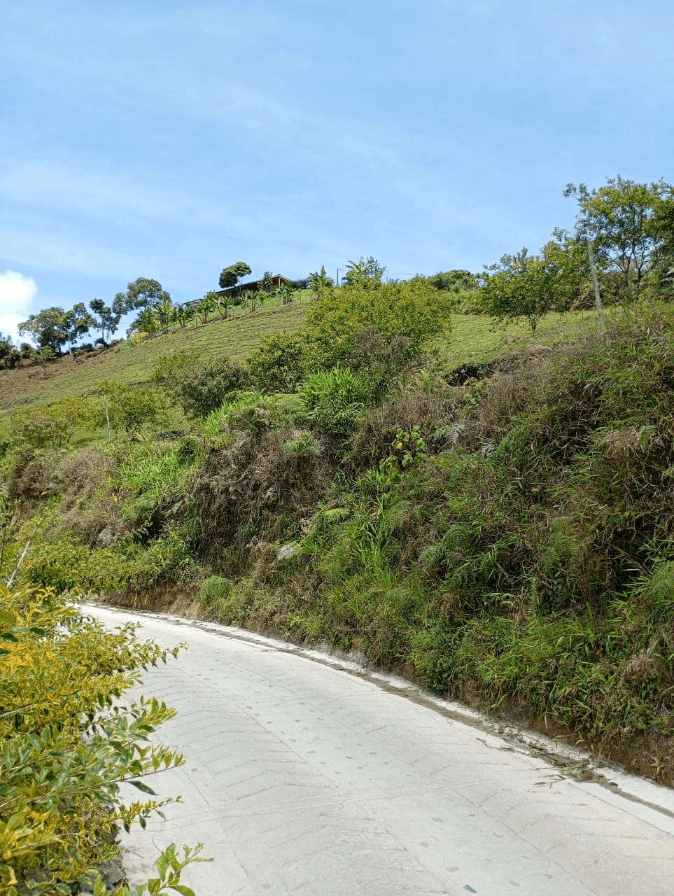 Imagen 4 de la propiedad Lote de 3.100 m² en venta Vereda La Chapa, El Peñol
