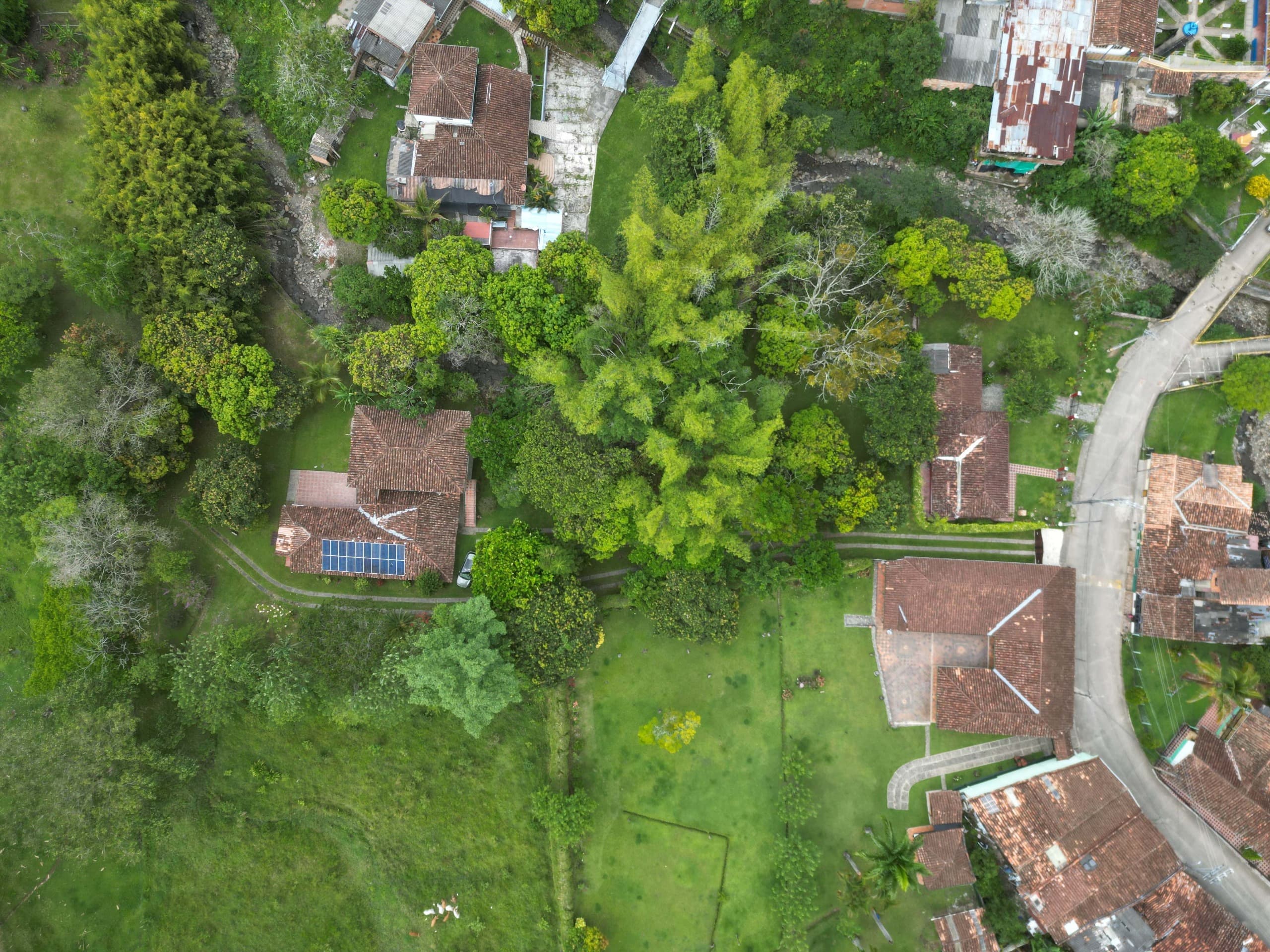 Imagen 3 de la propiedad Finca en venta en Venecia, Antioquia