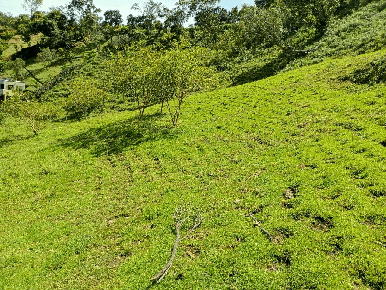 Lote de 6.840 M2 en venta Vereda La Chapa el Peñol
