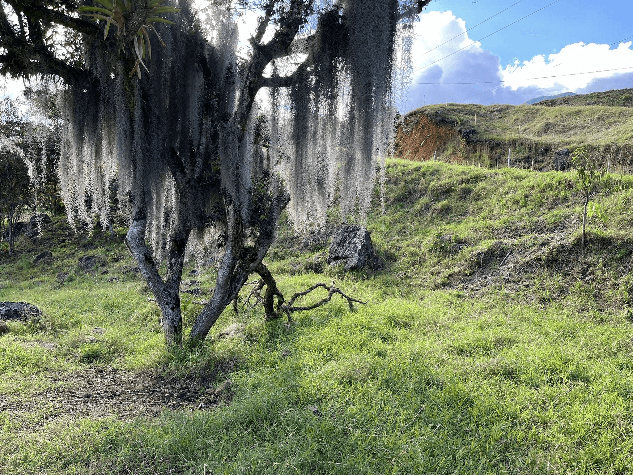 Imagen 3 de la propiedad Lote 58 en venta en la vereda Santana 📍 Copacabana