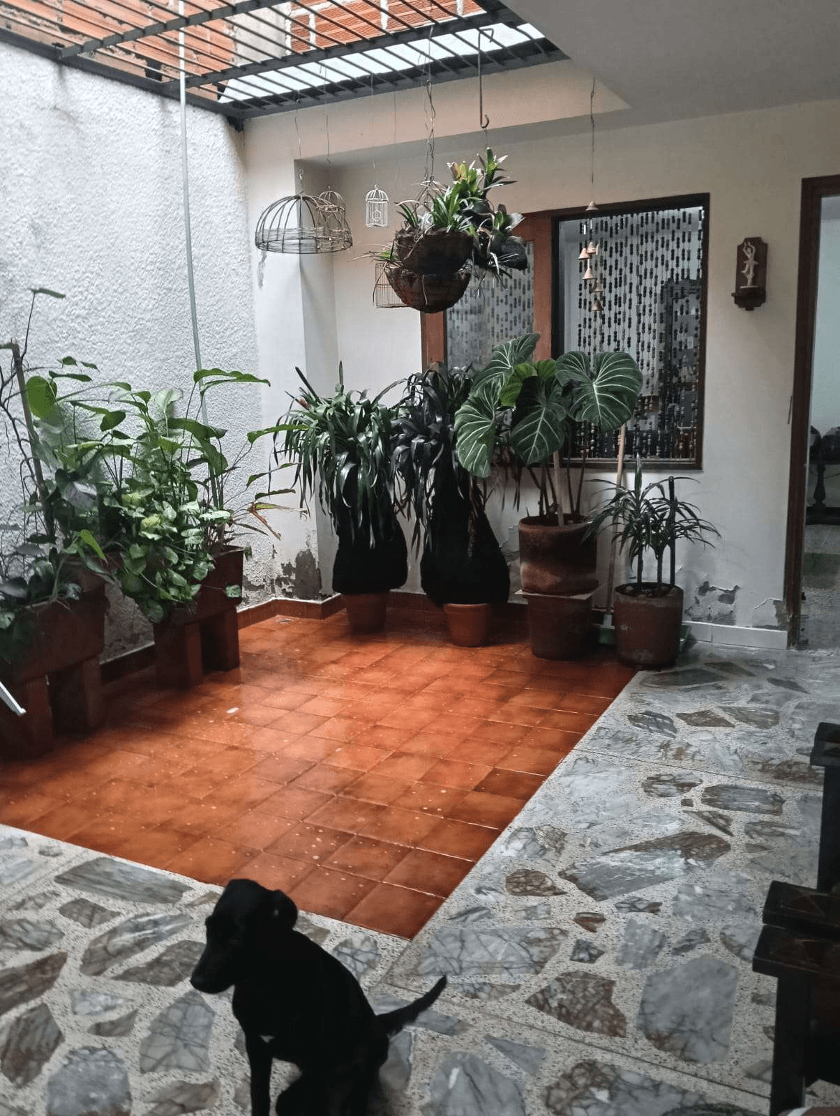 Imagen 7 de la propiedad Casa Local comercial en venta ,Envigado