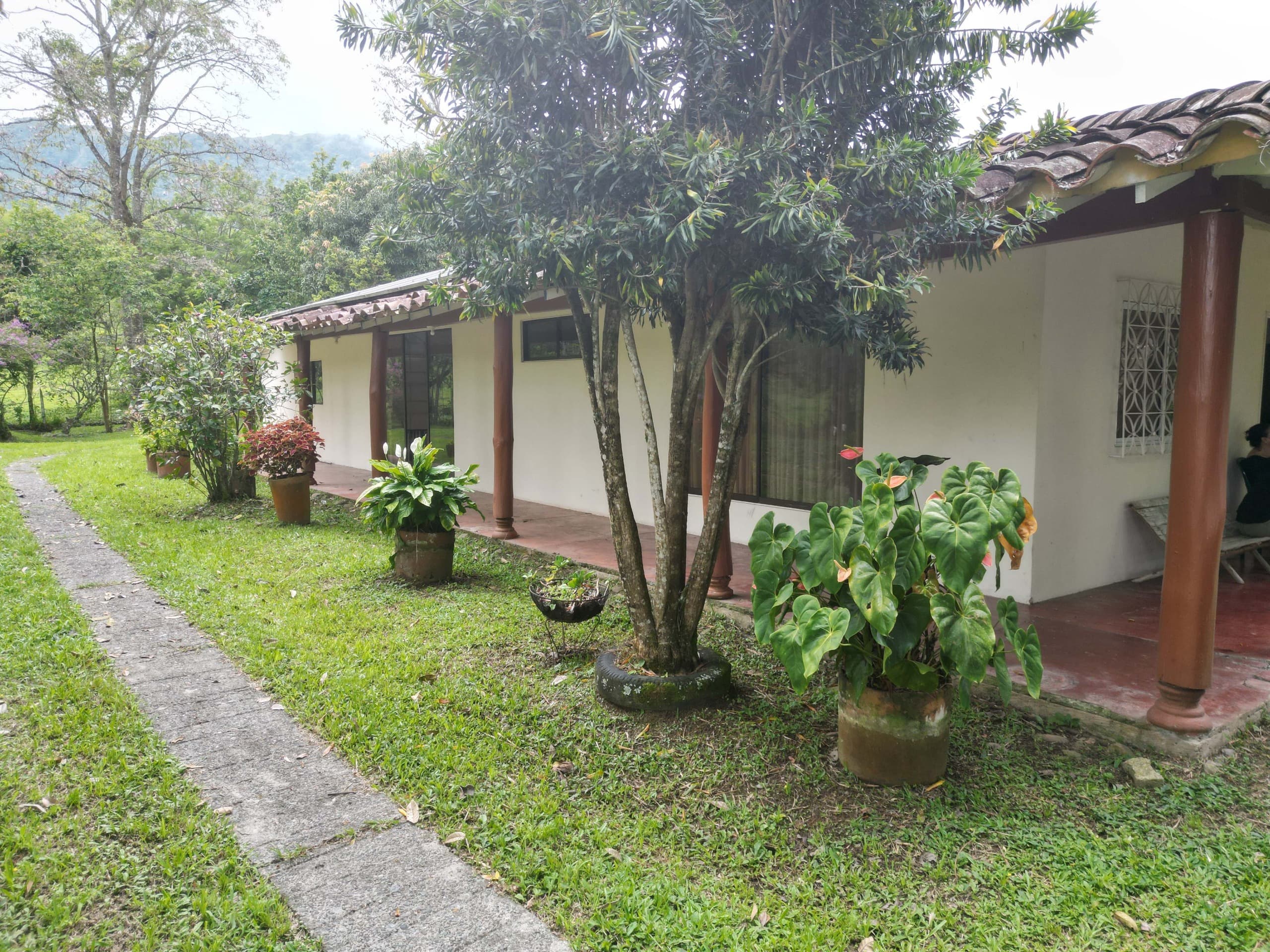 Imagen 10 de la propiedad Finca en venta en Venecia, Antioquia