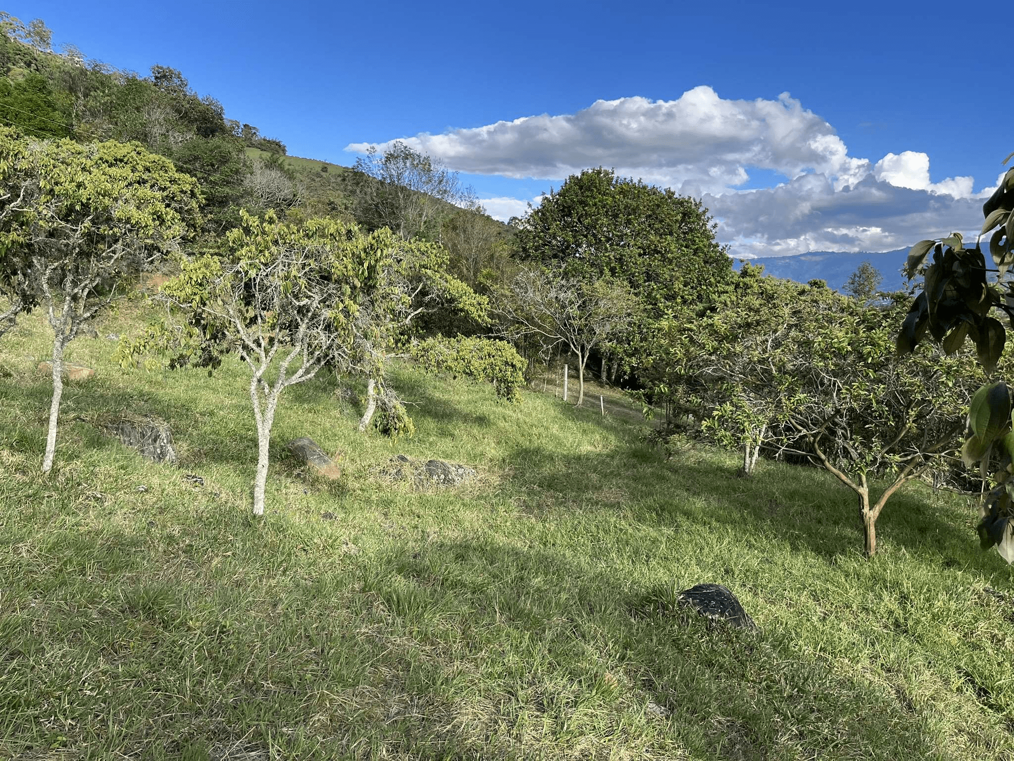 Imagen 7 de la propiedad Lote 58 en venta en la vereda Santana 📍 Copacabana
