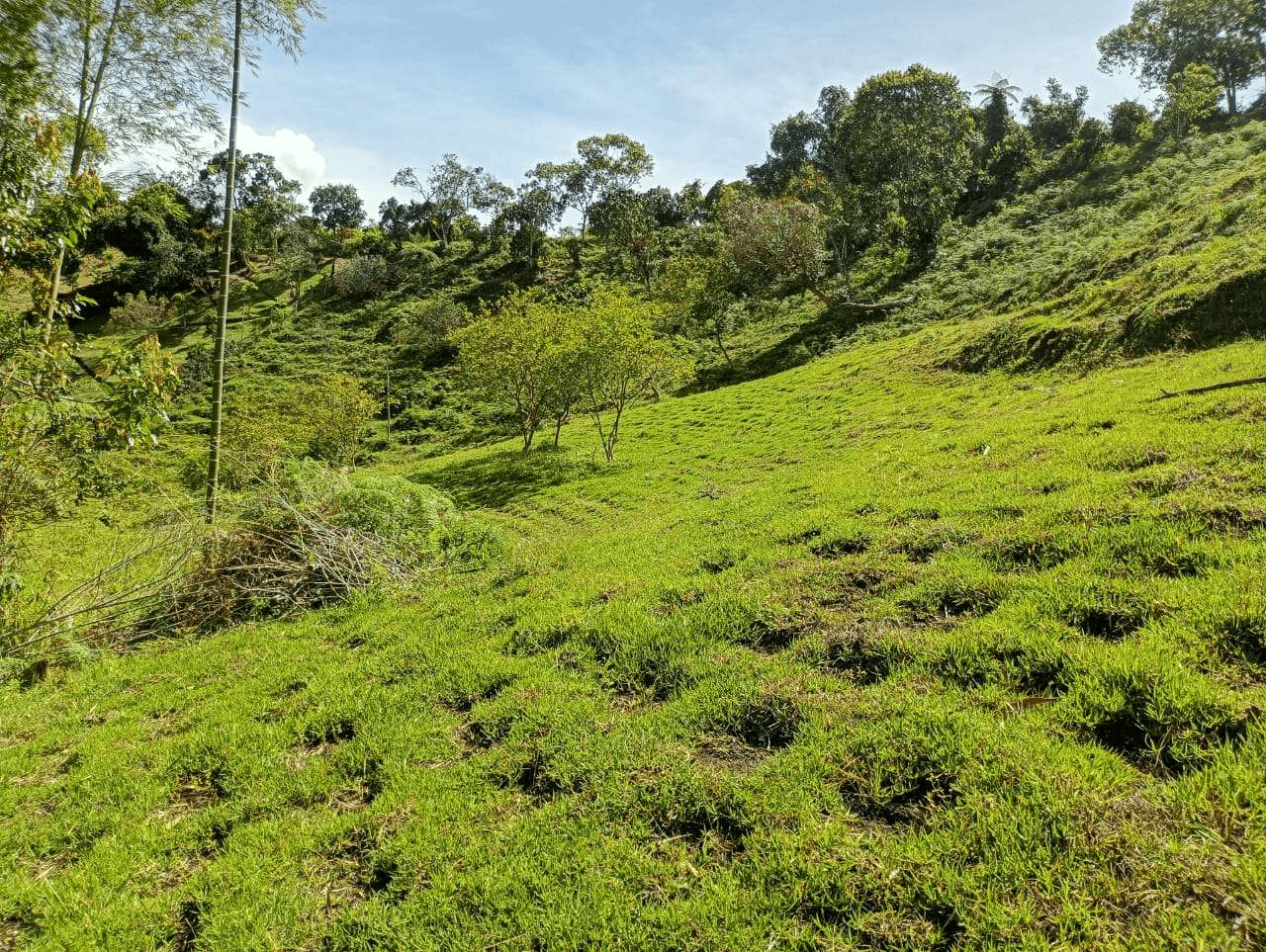 Imagen 2 de la propiedad Lote de 6.840 M2 en venta Vereda La Chapa el Peñol