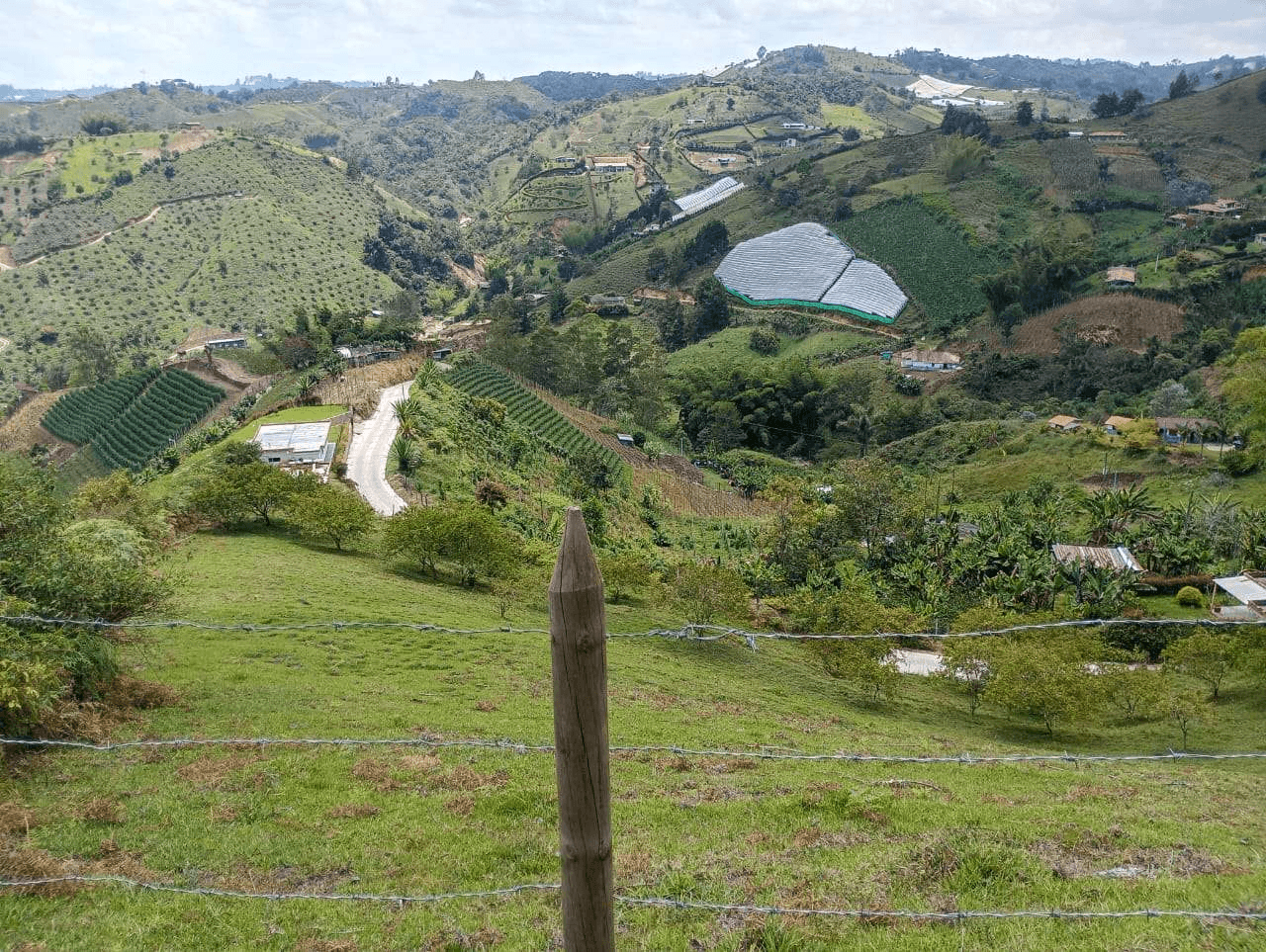 Imagen 5 de la propiedad Lote de 3.100 m² en venta Vereda La Chapa, El Peñol