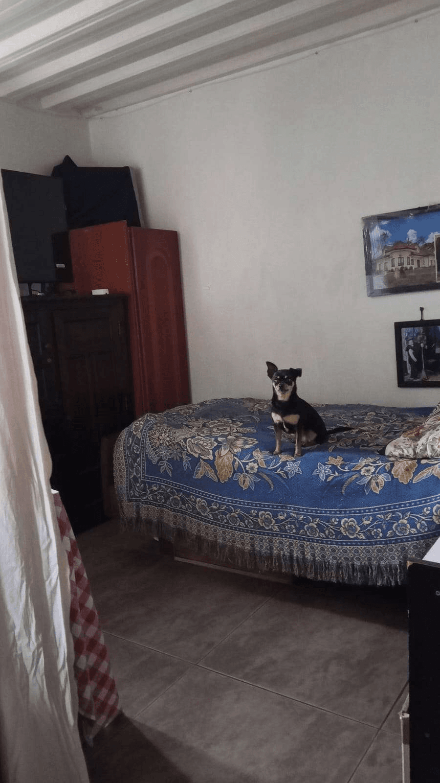 Imagen 4 de la propiedad Apartamento en venta , Rionegro