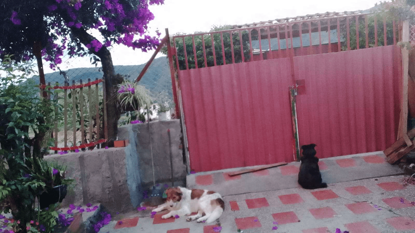 Imagen 8 de la propiedad Casa Finca en venta vereda la Liborina Versalles