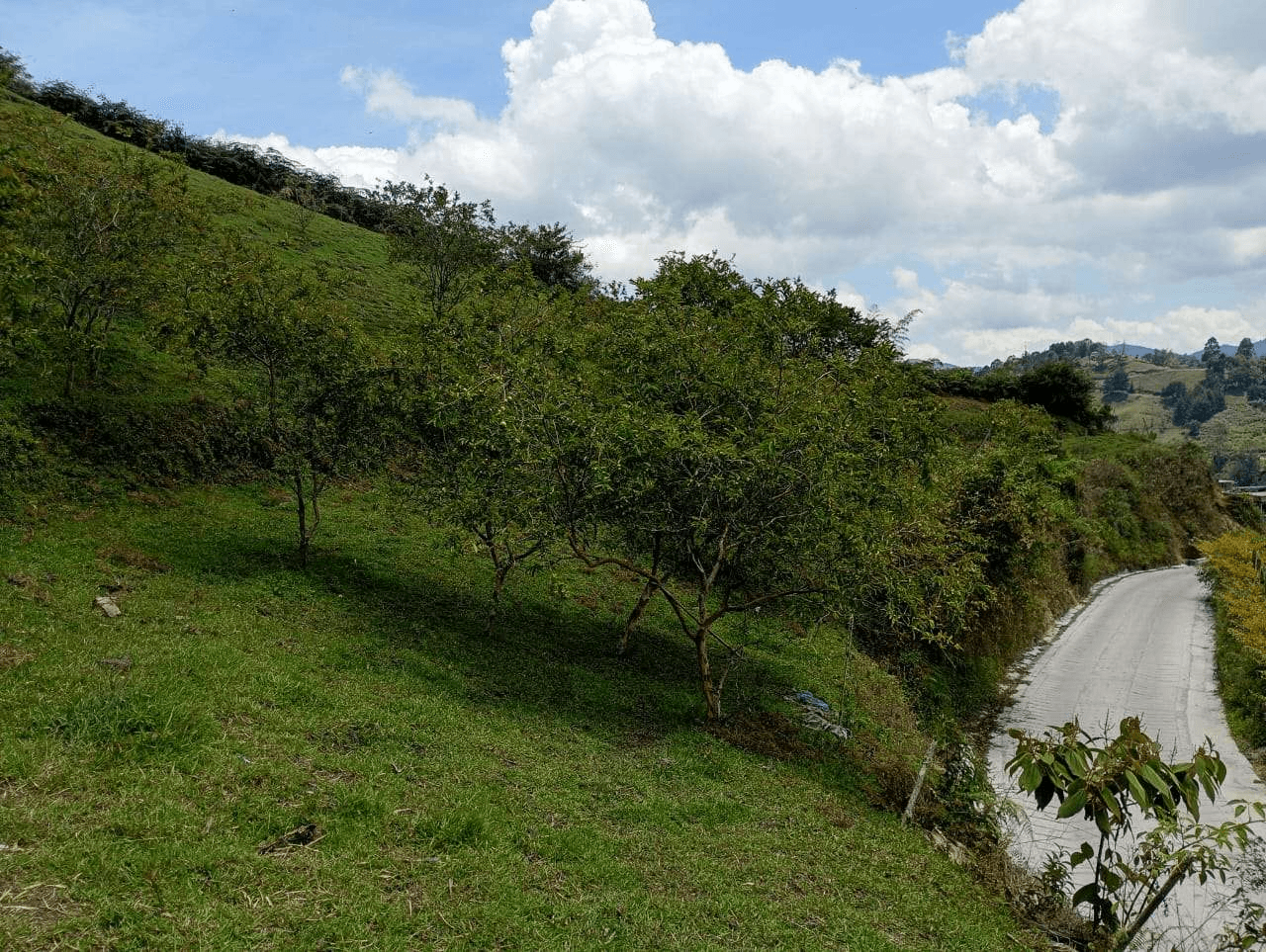 Imagen 3 de la propiedad Lote de 3.100 m² en venta Vereda La Chapa, El Peñol