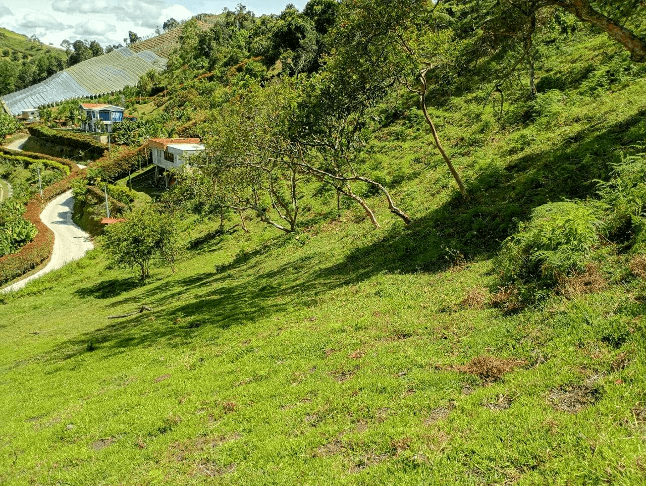Imagen 3 de la propiedad Lote de 6.840 M2 en venta Vereda La Chapa el Peñol