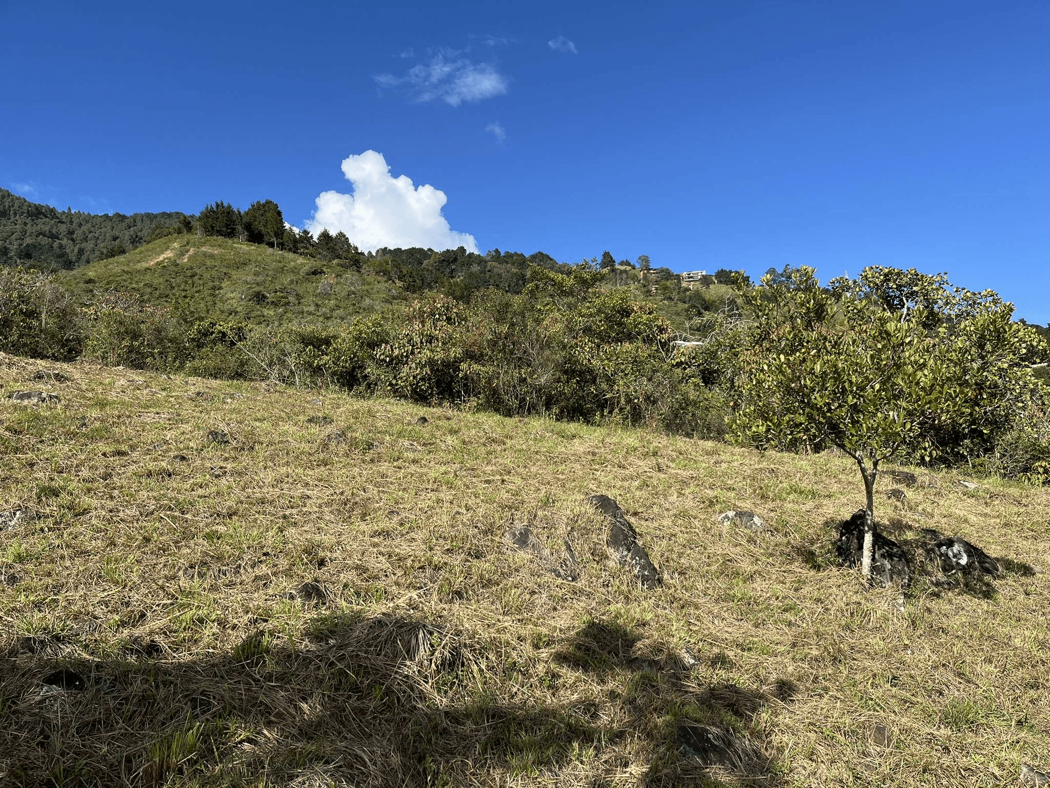 Imagen 3 de la propiedad Lote 66 en venta en la vereda Santana,Copacabana