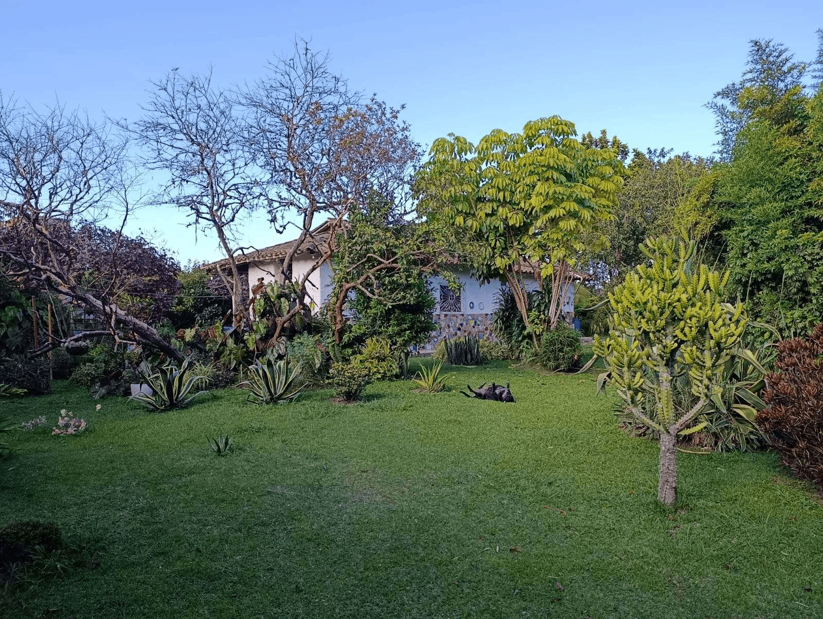 Imagen 4 de la propiedad Casa finca en Venta, Carmen de Viboral