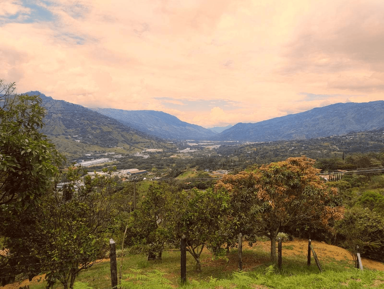 Imagen 4 de la propiedad Finca en venta el Totumo 📍 Girardota