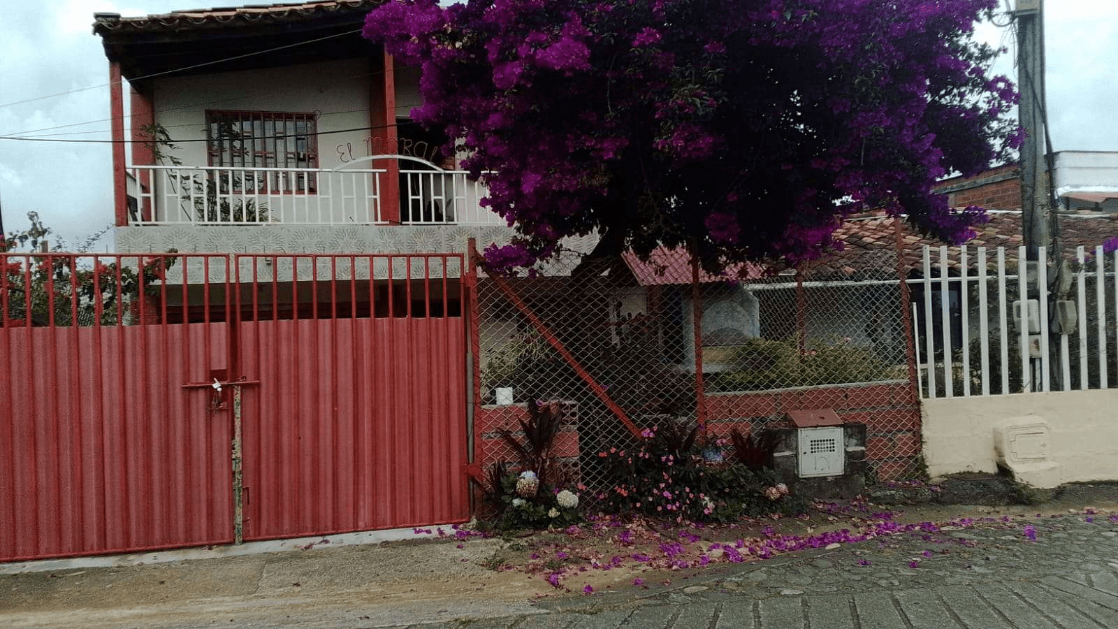 Imagen 6 de la propiedad Casa Finca en venta vereda la Liborina Versalles
